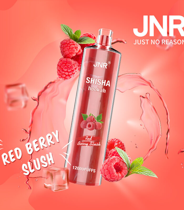 Shisha Hookah Red Berry Slush 12000 - Pack de 10